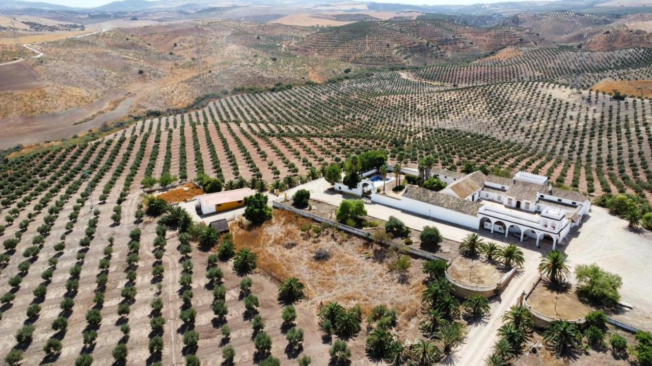 Villa Cortijo Donana La Puebla de Cazalla Exterior foto